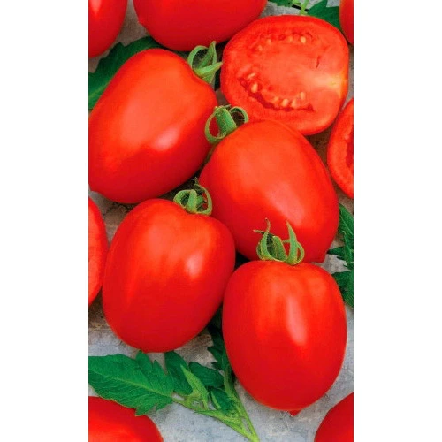 Семена Томат Талисман 20шт (УД) Е/П