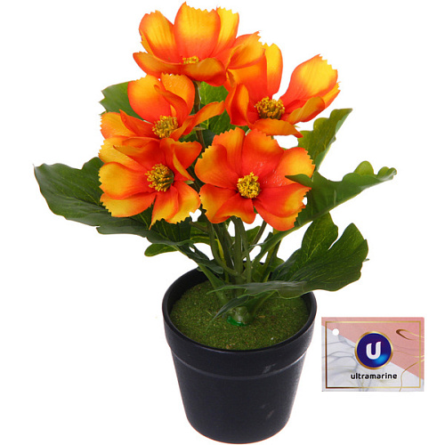 Цветочная композиция "Поцелуй лета" Космея оранжевая 20см