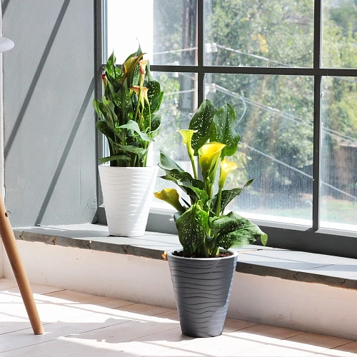 Кашпо для цветов пластиковое 2,8л Валенсия со вставкой белое_4