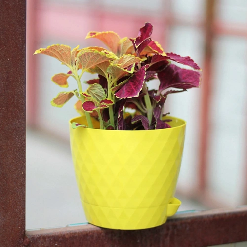 Горшок для цветов пластиковый 1,5л d-14см Румба лимон_2