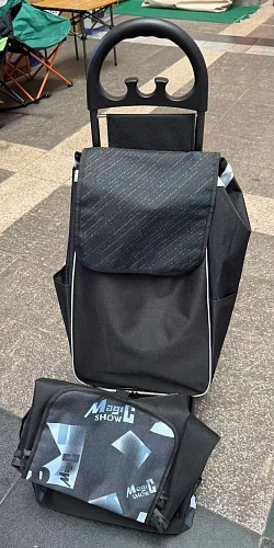 Тележка хозяйственная с сумкой (96*26*36см, колеса 15.5см,груз. до 30 кг.) magic DC307GG