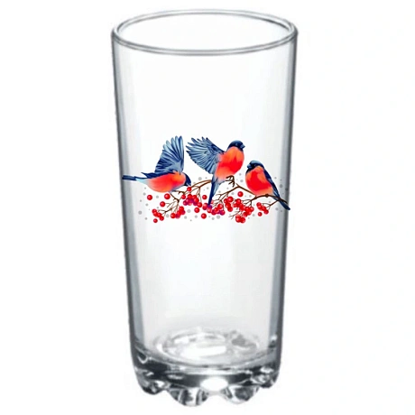 Стакан стеклянный 280мл "Снегири" D848/24