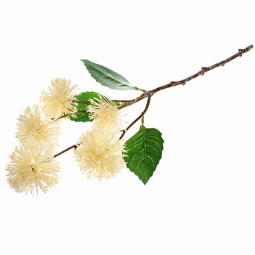 Цветок искусственный Natur 50см Каштан белый_7