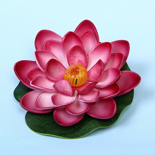 Растение водоплавающее Кувшинка большая d-10см сиреневая_9