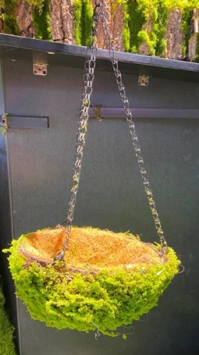 Кашпо для цветов "Сфагнум" с кокосовым волокном, подвесное d=24см, мох