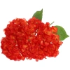 Искусственные цветы "Гортензия"  48см 5 цветков красные