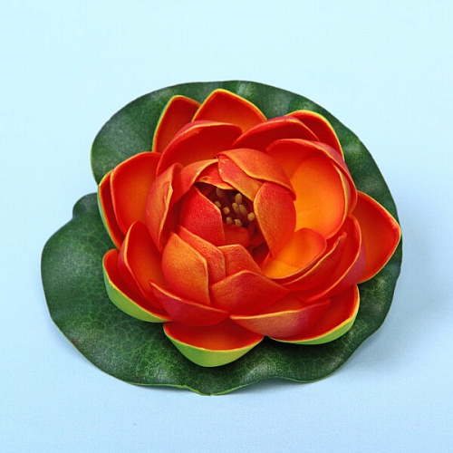 Растение водоплавающее Кувшинка Розитта d-10см оранжевая_7