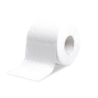 Туалетная бумага. 