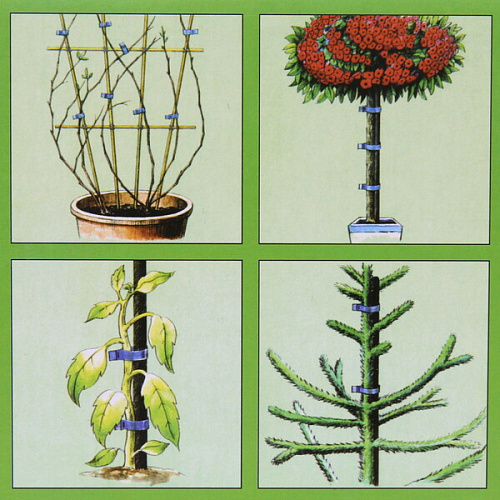 Тапенер для подвязки растений_10