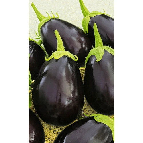 Семена Баклажан Деликатес 163 20шт (УД) Е/П