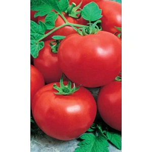 Семена Томат Деликатес 20шт (УД) Е/П