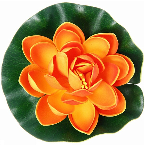 Растение водоплавающее Кувшинка Розитта d-13см оранжевая_6