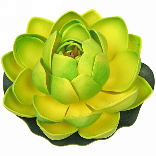 Растение водоплавающее "Кувшинка Розитта" d-10см зеленая