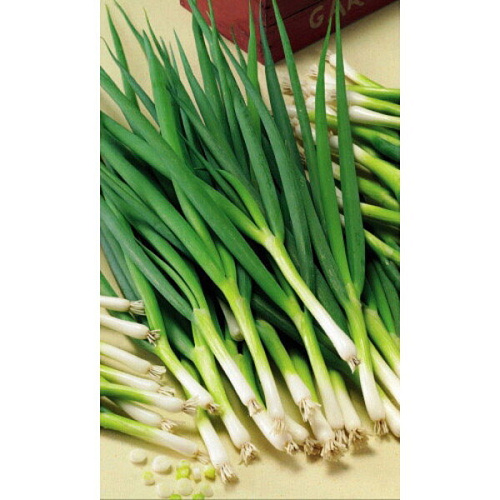 Семена Лук батун Троица 0,25гр (УД) Е/П