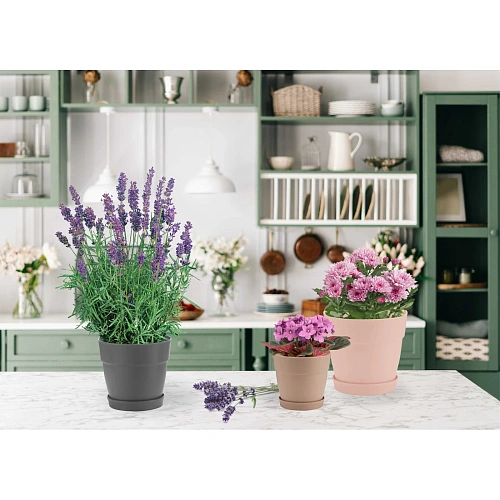 Горшок для цветов пластиковый 4л d-20см Villa de Fiori с фиксируемым поддоном, белоснежный жасмин_3