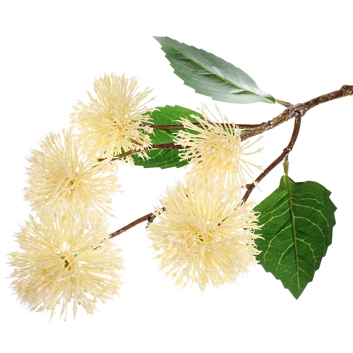 Цветок искусственный Natur 50см Каштан белый_8