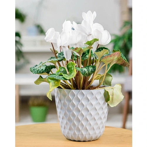 Горшок для цветов пластиковый 4,7л d-20,5см Wave с дренажной сеткой и съемным поддоном, утренний туман_6