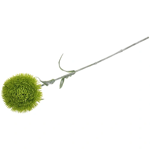 Цветок искусственный Natur 50см Кариофиллум зеленый_6