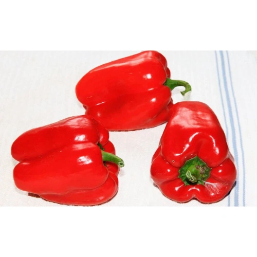 Семена Перец сладкий Красные щёчки 20шт (УД) Е/П