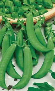 Семена Горох Амброзия 8гр (УД) Е/П