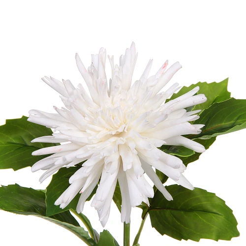 Цветок искусственный Natur 74см Хризантема белая_4