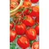 Семена Томат Элегант 20шт (УД) Е/П