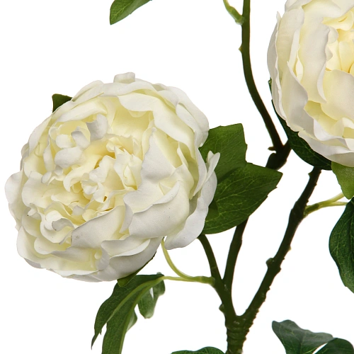 Цветок искусственный Natur 78см Пион белый_3
