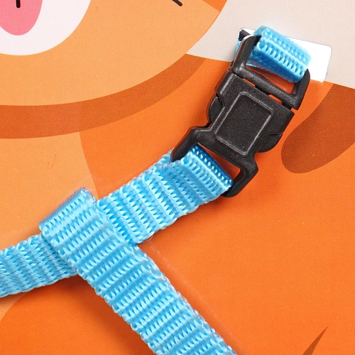 Шлейка с поводком Веселая прогулка 120см цвет светло - голубой_3