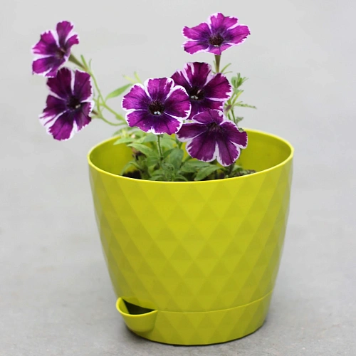 Горшок для цветов пластиковый 1,5л d-14см Румба киви_2