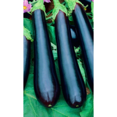 Семена Баклажан Пантера 20шт (УД) Е/П