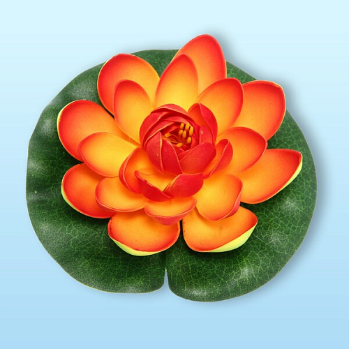 Растение водоплавающее Кувшинка Розитта d-15см оранжевая_5