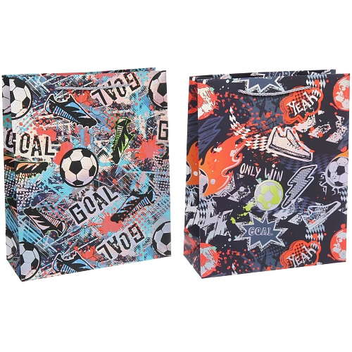 Пакет подарочный GOAL 263210 см_4