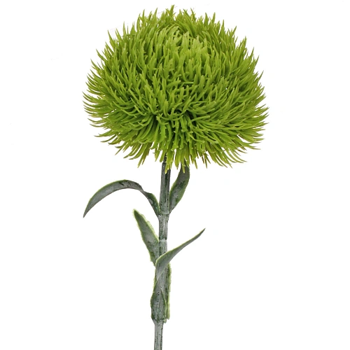 Цветок искусственный Natur 50см Кариофиллум зеленый_5